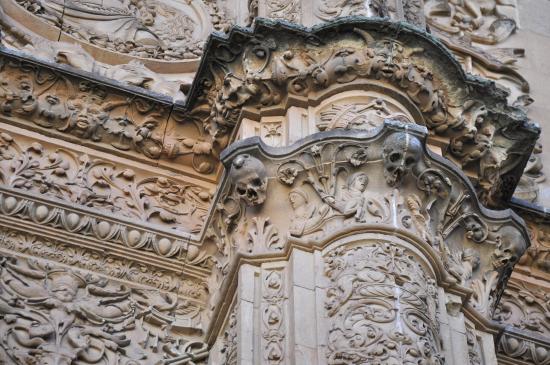 La Rana de Salamanca